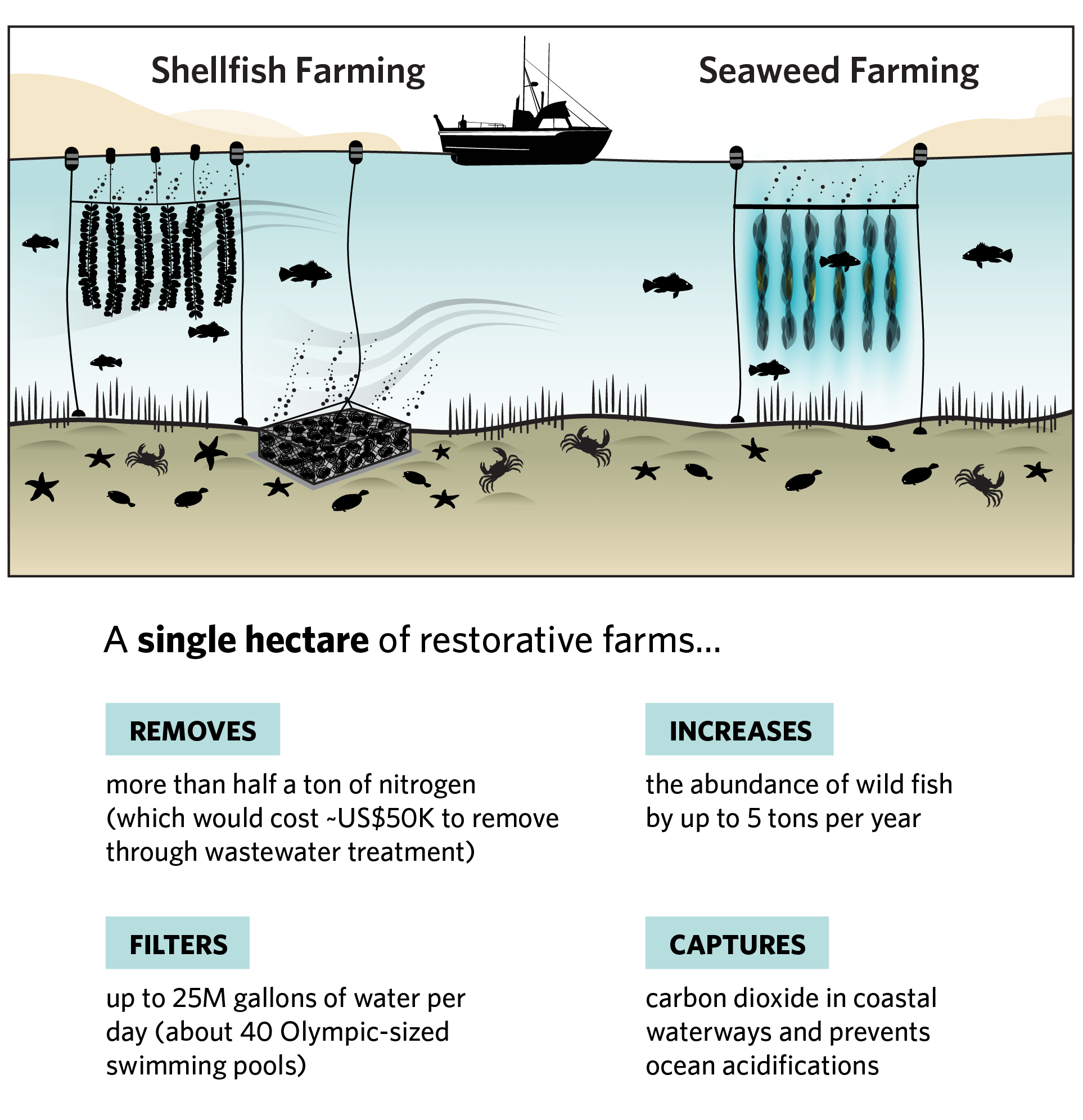 restorative-aquaculture-credit-the-nature-conservancy